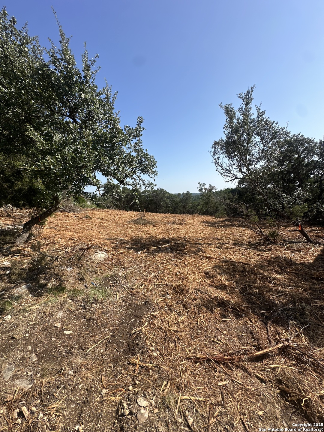 25706 Echo Mountain San Antonio TX 78260
