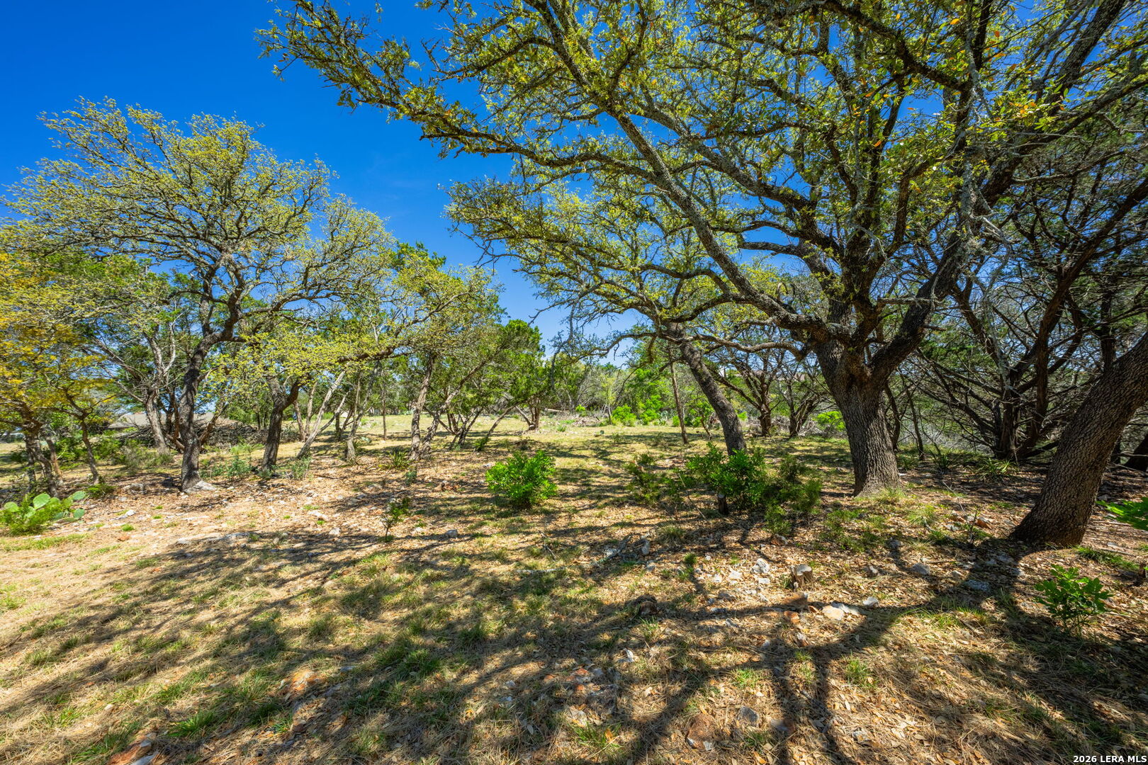 698 Rim Rock Kerrville TX 78028