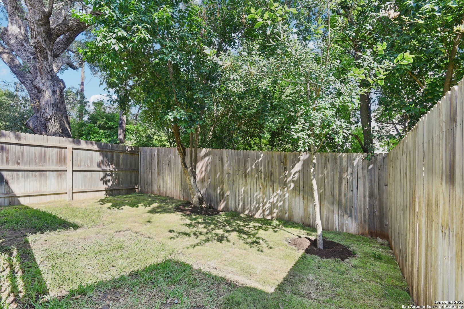 445 Natalen San Antonio TX 78209
