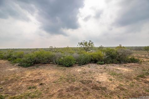 290 Lilly Bear Lane Moore TX 78057
