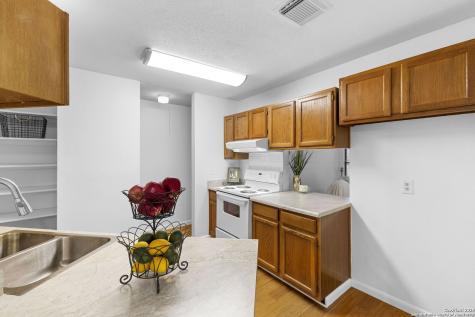 3807 Pine Breeze San Antonio TX 78247