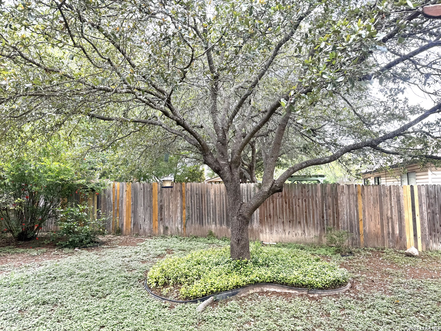 9823 Alisa Brooke San Antonio TX 78254