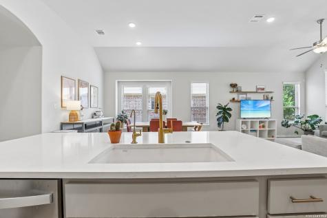 124 Fountain Grass Drive San Marcos TX 78666