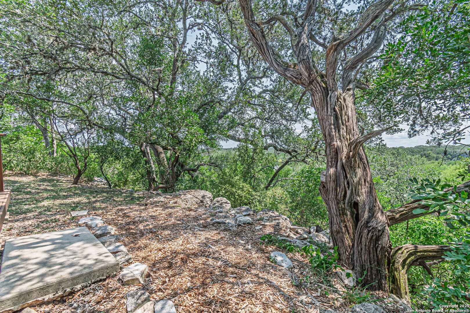 560 Bluff Ridge New Braunfels TX 78132