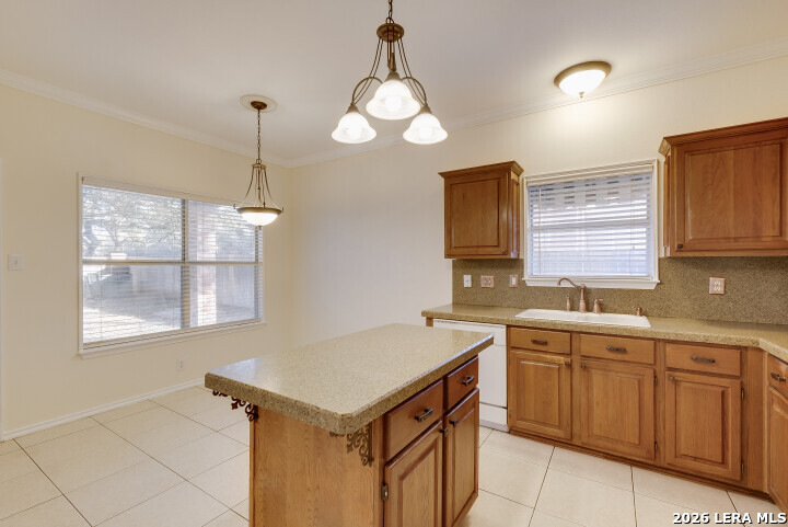 16907 Redhorse San Antonio TX 78247