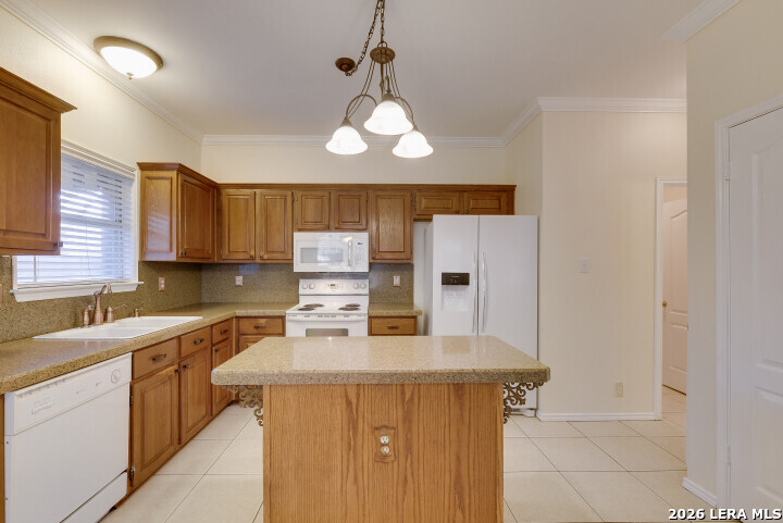 16907 Redhorse San Antonio TX 78247