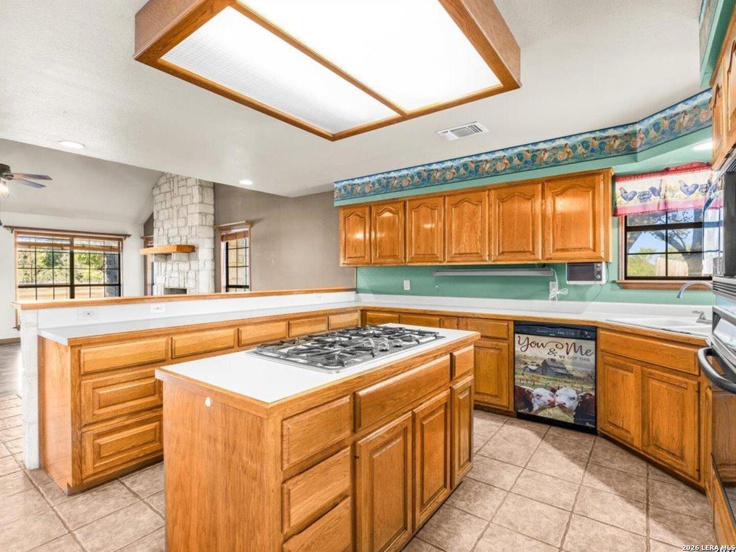 386 County Road 763 Devine TX 78016