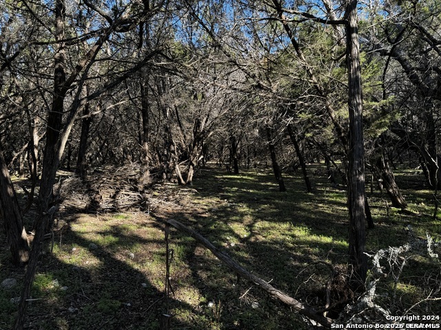 5111 Fm 1863 Bulverde TX 78163