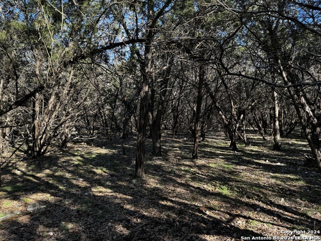 5111 Fm 1863 Bulverde TX 78163