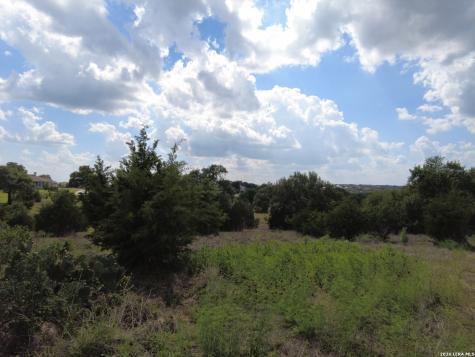 1221 Brushy Cove New Braunfels TX 78132