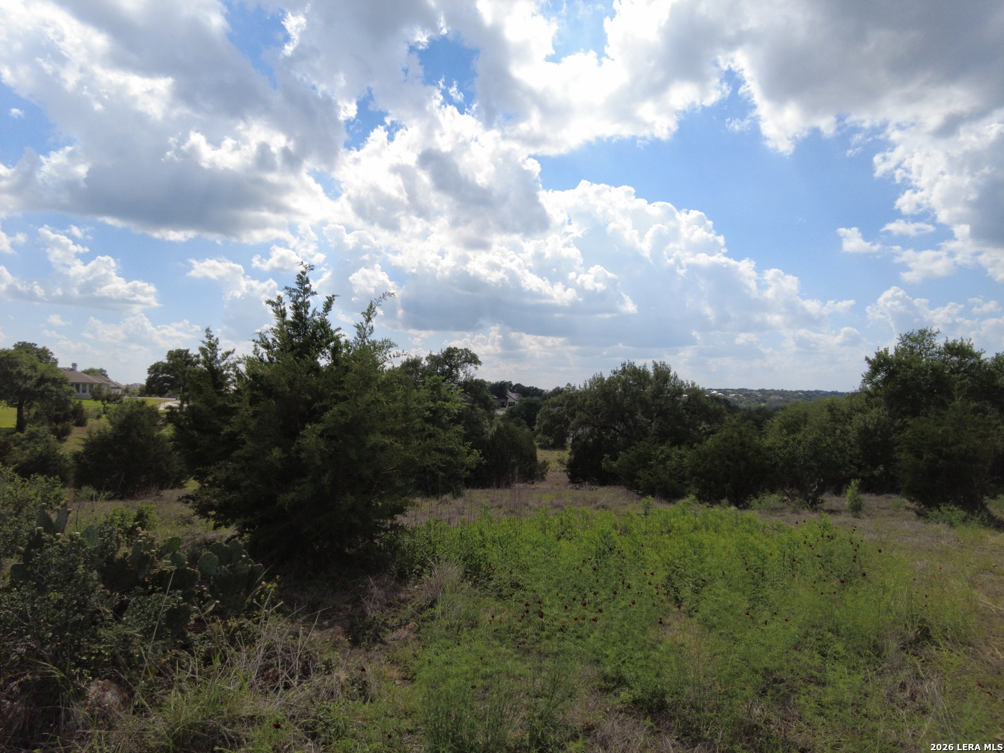 1221 Brushy Cove New Braunfels TX 78132