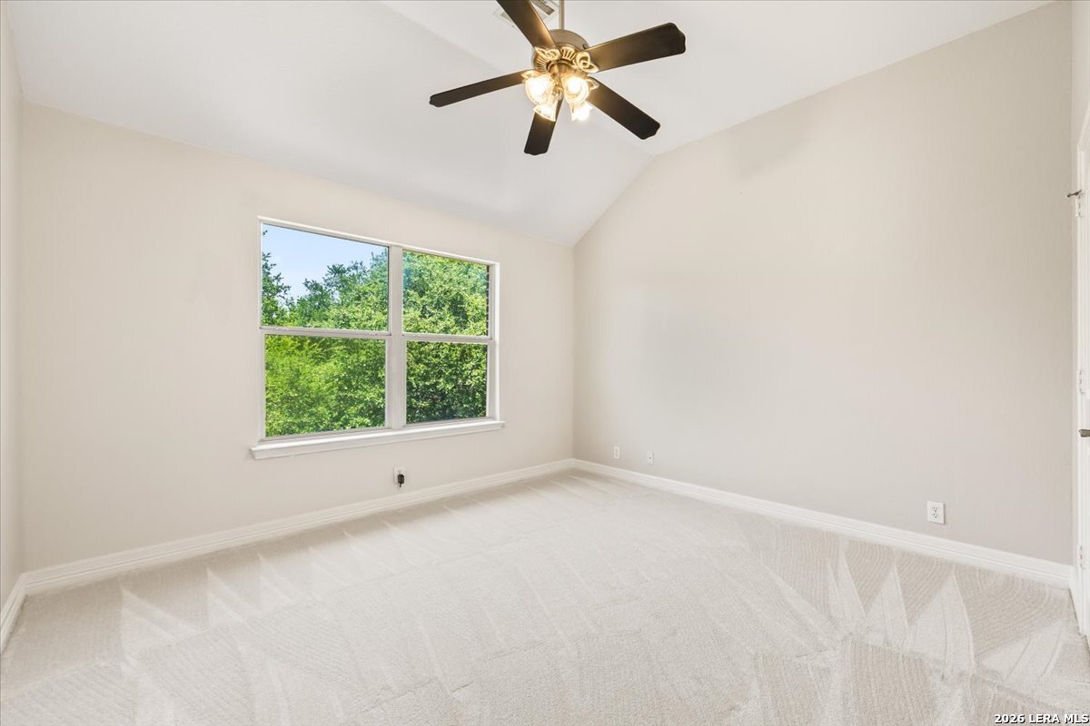 162 Yaupon Trail San Antonio TX 78256