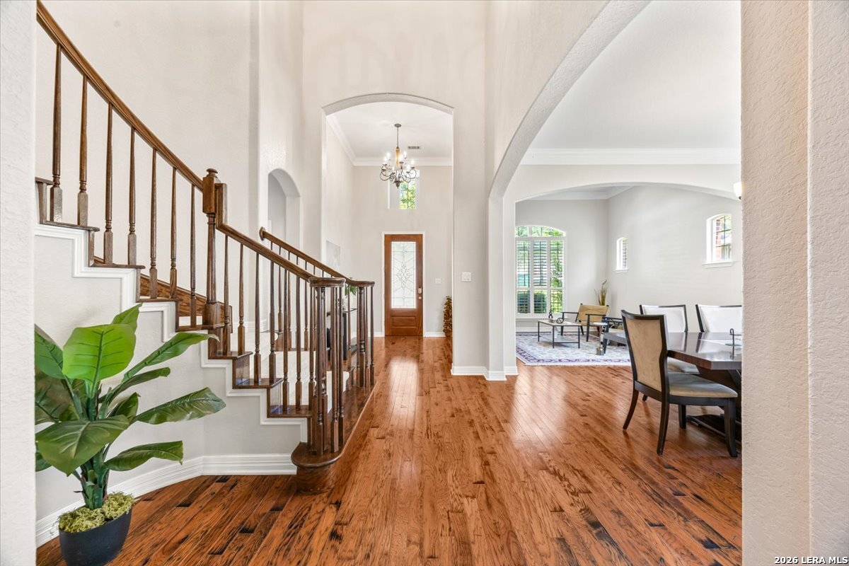 162 Yaupon Trail San Antonio TX 78256