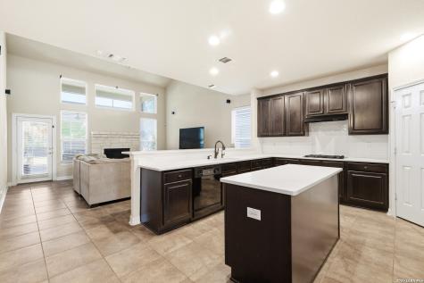 13726 Palatine Hill San Antonio TX 78253