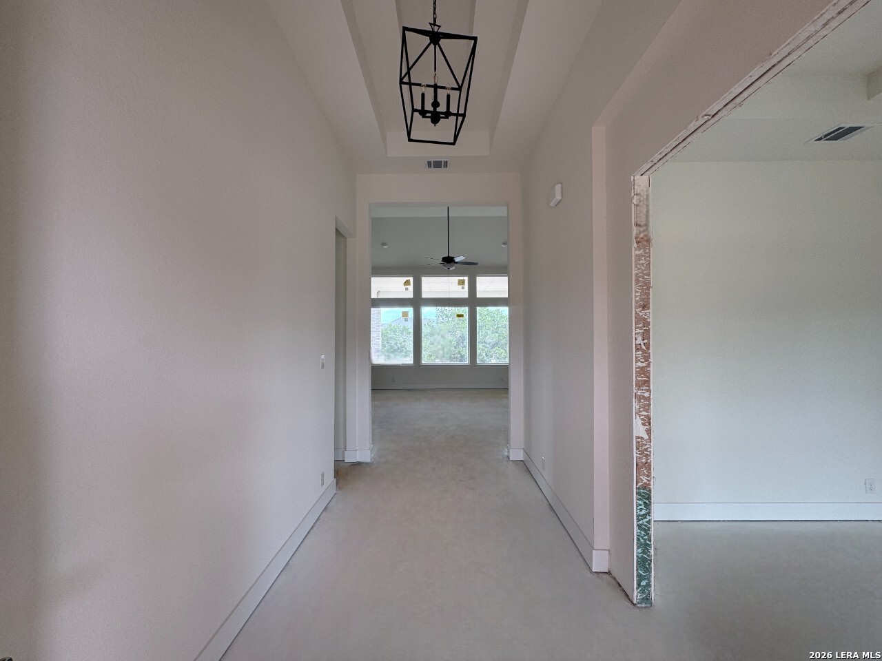 10707 Chestnut Warbler New Braunfels TX 78132