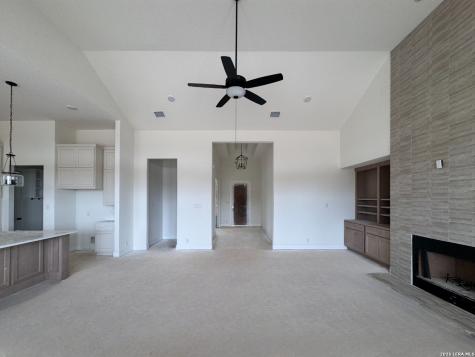 10707 Chestnut Warbler New Braunfels TX 78132