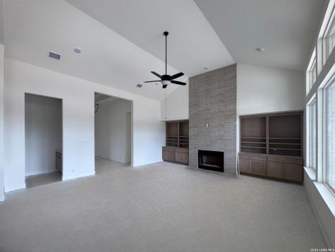 10707 Chestnut Warbler New Braunfels TX 78132