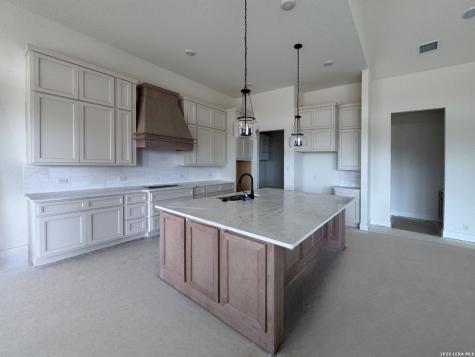 10707 Chestnut Warbler New Braunfels TX 78132