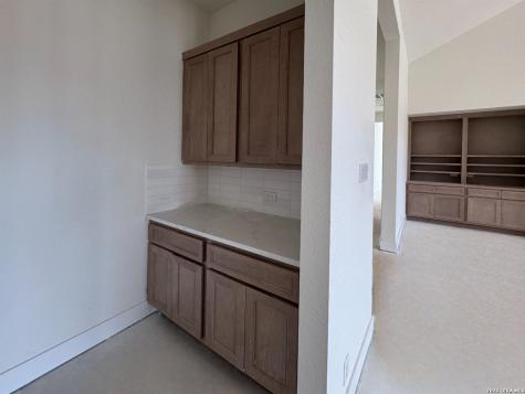 10707 Chestnut Warbler New Braunfels TX 78132