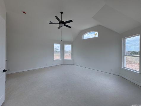 10707 Chestnut Warbler New Braunfels TX 78132