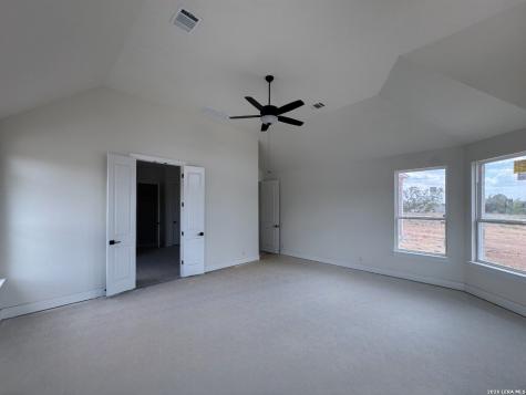 10707 Chestnut Warbler New Braunfels TX 78132