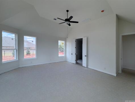 10707 Chestnut Warbler New Braunfels TX 78132