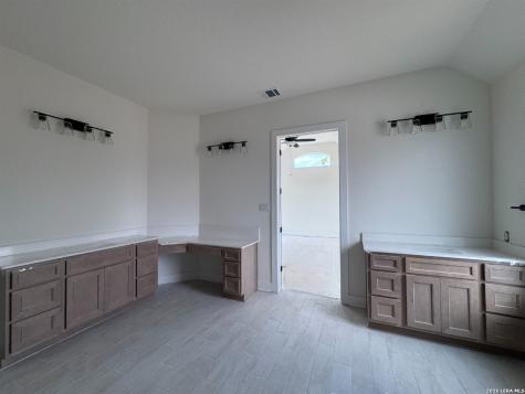 10707 Chestnut Warbler New Braunfels TX 78132