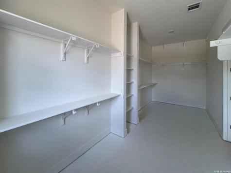 10707 Chestnut Warbler New Braunfels TX 78132