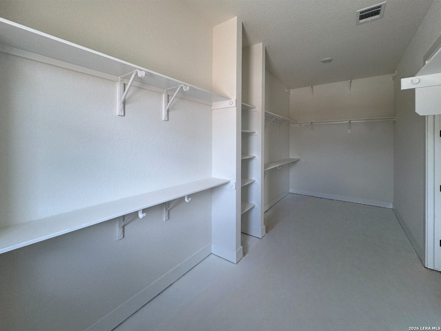 10707 Chestnut Warbler New Braunfels TX 78132