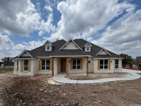 10707 Chestnut Warbler New Braunfels TX 78132