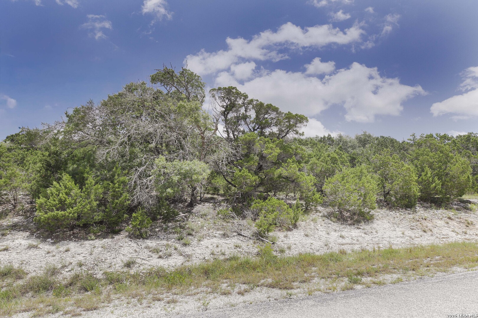 3009 Fallbrook Manor Bulverde TX 78163
