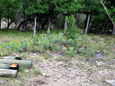 Lot 270 Forest Cliffs San Antonio TX 78253