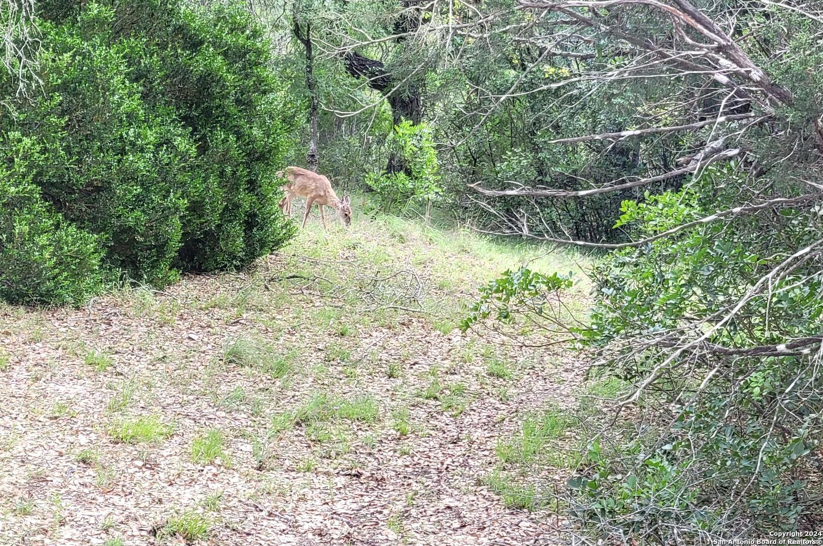 Lot 270 Forest Cliffs San Antonio TX 78253