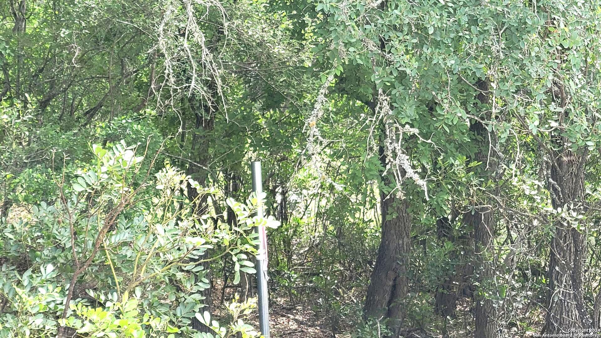 Lot 270 Forest Cliffs San Antonio TX 78253