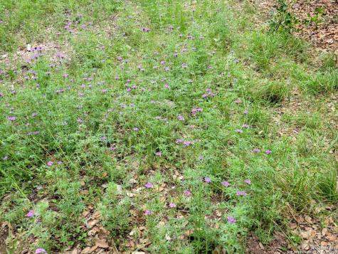 Lot 270 Forest Cliffs San Antonio TX 78253