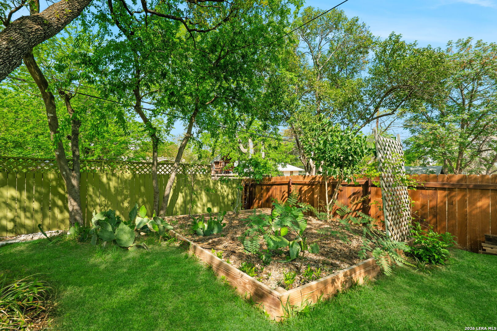 231 Tammy Drive San Antonio TX 78216