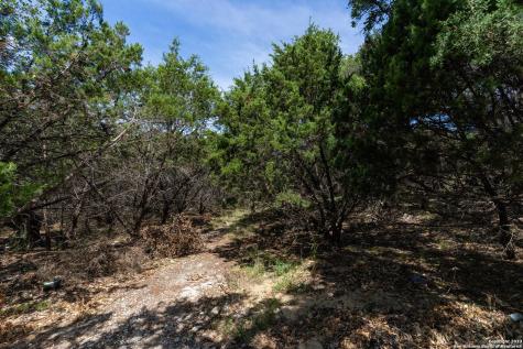 3 Brayton Place San Antonio TX 78257