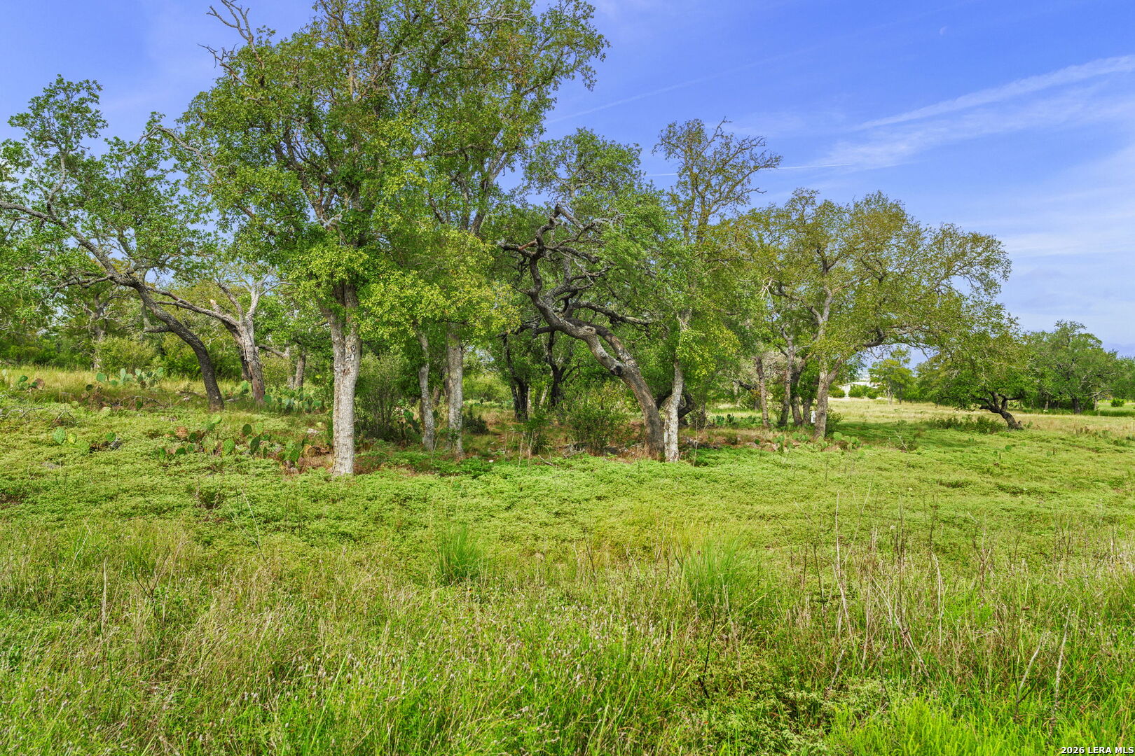Lot 85 Axis Circle Fredericksburg TX 78624