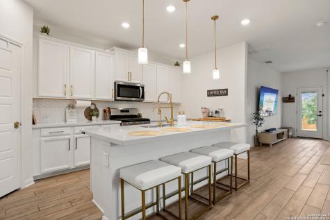 12217 Icon Ridge San Antonio TX 78253