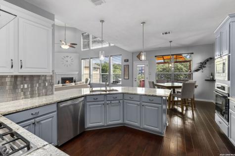 23554 Seven Winds San Antonio TX 78258