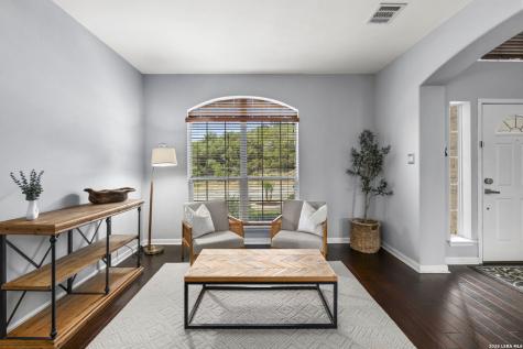 23554 Seven Winds San Antonio TX 78258