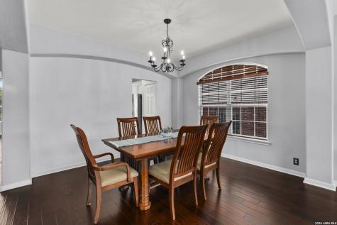23554 Seven Winds San Antonio TX 78258