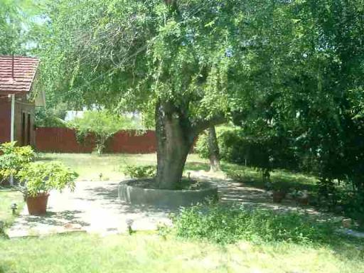 1206 Avant San Antonio TX 78210