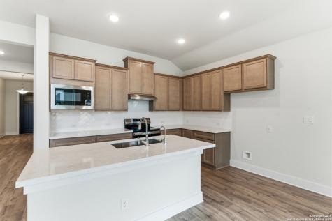 217 Spanish Oak Castroville TX 78009