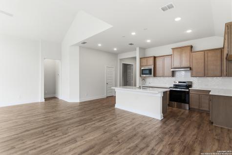 217 Spanish Oak Castroville TX 78009