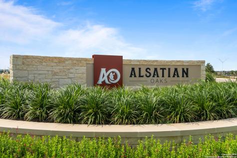 217 Spanish Oak Castroville TX 78009