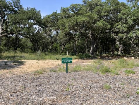 24643 Cliff Line San Antonio TX 78257