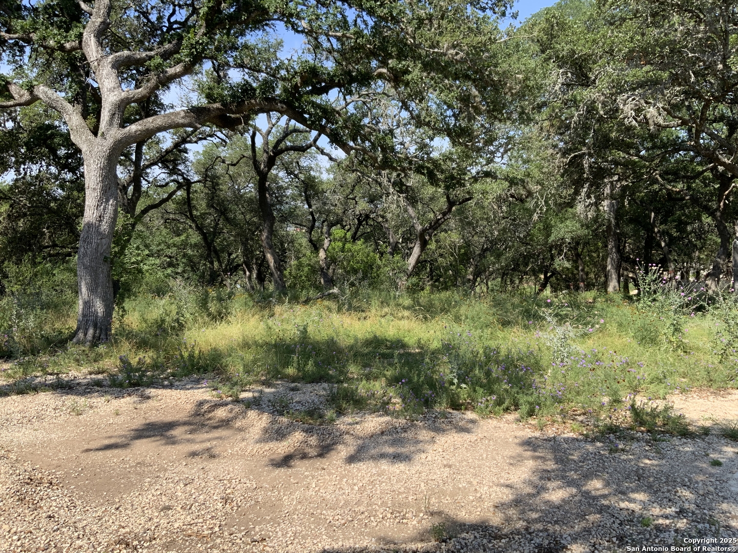24643 Cliff Line San Antonio TX 78257