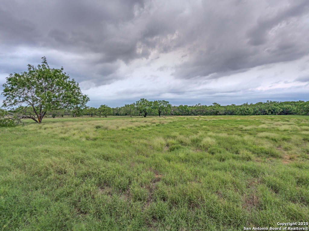 315 Simon Pleasanton TX 78064