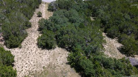 1465 Ironwood Road Fischer TX 78623